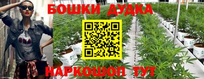 крисы Конаково