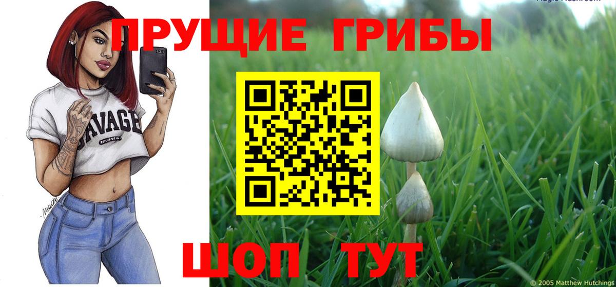 Псилоцибиновые грибы мухоморы Сыктывкар