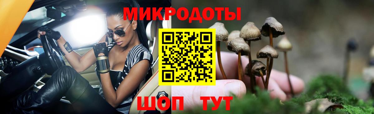 Галлюциногенные грибы Psilocybe  Галлюциногенные грибы мицелий  Сыктывкар  Вход с VPN 